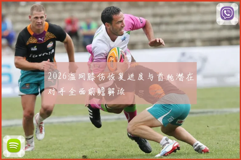 2026温网膝伤恢复进度与首轮潜在对手全面前瞻解读
